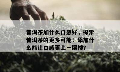 普洱茶加什么口感好，探索普洱茶的更多可能：添加什么能让口感更上一层楼？