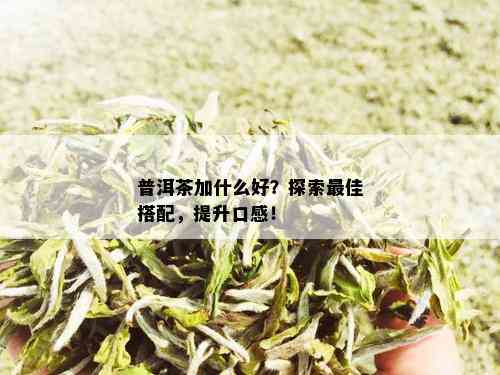 普洱茶加什么好？探索更佳搭配，提升口感！