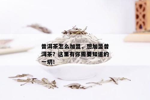 普洱茶怎么加盟，想加盟普洱茶？这里有你需要知道的一切！