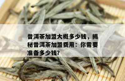 普洱茶加盟大概多少钱，揭秘普洱茶加盟费用：你需要准备多少钱？