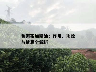 普洱茶加精油：作用、功效与禁忌全解析