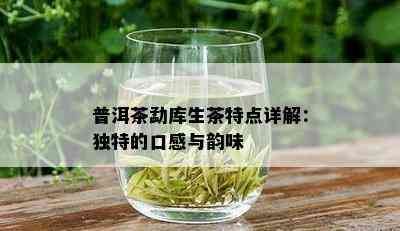 普洱茶勐库生茶特点详解：独特的口感与韵味