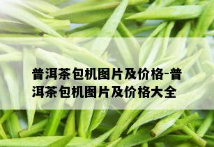 普洱茶包机图片及价格-普洱茶包机图片及价格大全