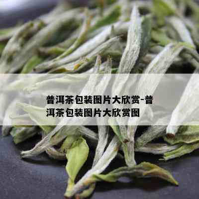 普洱茶包装图片大欣赏-普洱茶包装图片大欣赏图