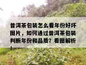 普洱茶包装怎么看年份好坏图片，如何通过普洱茶包装判断年份和品质？看图解析！