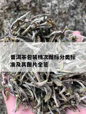 普洱茶包装档次图标分类标准及其图片全览