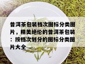 普洱茶包装档次图标分类图片，精美绝伦的普洱茶包装：按档次划分的图标分类图片大全