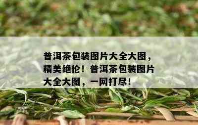 普洱茶包装图片大全大图，精美绝伦！普洱茶包装图片大全大图，一网打尽！