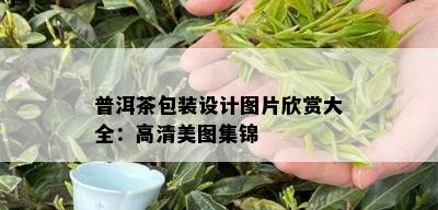 普洱茶包装设计图片欣赏大全：高清美图集锦