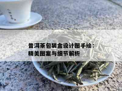 普洱茶包装盒设计图手绘：精美图案与细节解析