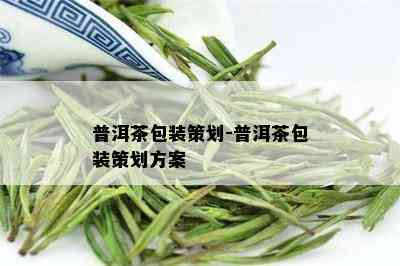 普洱茶包装策划-普洱茶包装策划方案