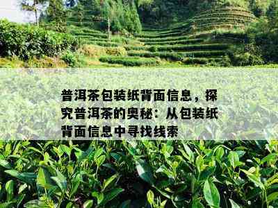 普洱茶包装纸背面信息，探究普洱茶的奥秘：从包装纸背面信息中寻找线索