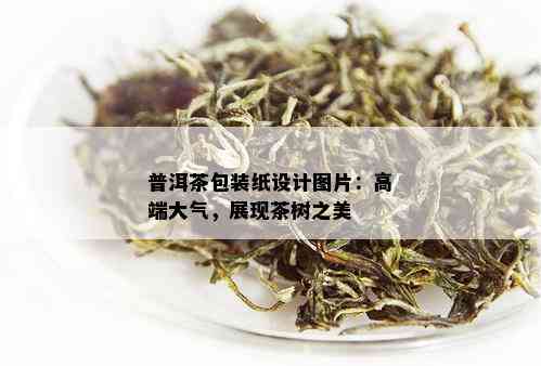 普洱茶包装纸设计图片：高端大气，展现茶树之美