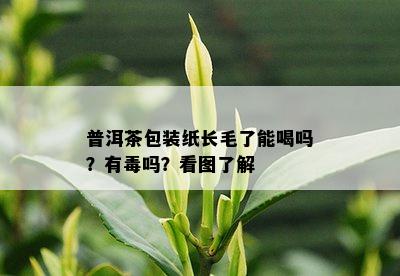 普洱茶包装纸长毛了能喝吗？有吗？看图了解