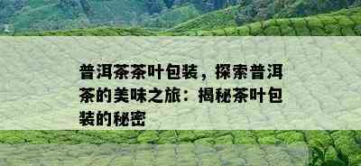 普洱茶茶叶包装，探索普洱茶的美味之旅：揭秘茶叶包装的秘密