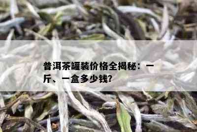 普洱茶罐装价格全揭秘：一斤、一盒多少钱？