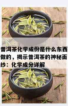 普洱茶化学成份是什么东西做的，揭示普洱茶的神秘面纱：化学成分详解