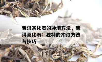 普洱茶化石的冲泡方法，普洱茶化石：独特的冲泡方法与技巧