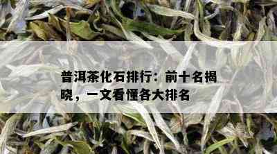 普洱茶化石排行：前十名揭晓，一文看懂各大排名