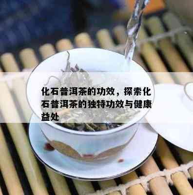 化石普洱茶的功效，探索化石普洱茶的独特功效与健康益处