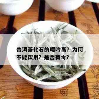 普洱茶化石的嘌呤高？为何不能饮用？是否有？