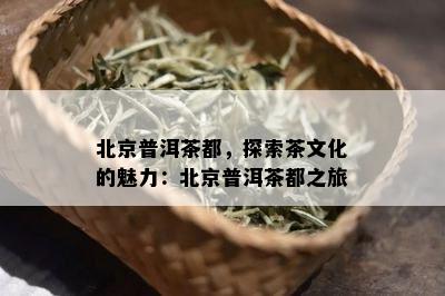 北京普洱茶都，探索茶文化的魅力：北京普洱茶都之旅