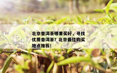 北京普洱茶哪里买好，寻找优质普洱茶？北京更佳购买地点推荐！