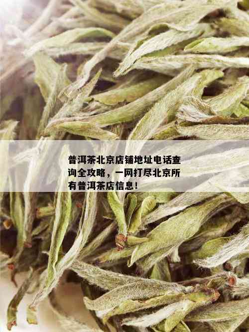 普洱茶北京店铺地址电话查询全攻略，一网打尽北京所有普洱茶店信息！