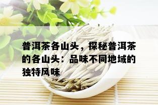 普洱茶各山头，探秘普洱茶的各山头：品味不同地域的独特风味