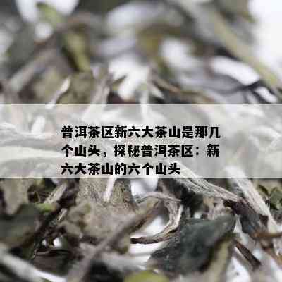 普洱茶区新六大茶山是那几个山头，探秘普洱茶区：新六大茶山的六个山头