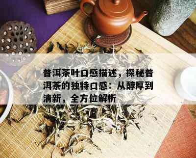 普洱茶叶口感描述，探秘普洱茶的独特口感：从醇厚到清新，全方位解析