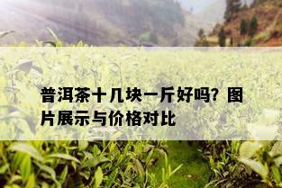 普洱茶十几块一斤好吗？图片展示与价格对比