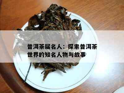 普洱茶届名人：探索普洱茶世界的知名人物与故事