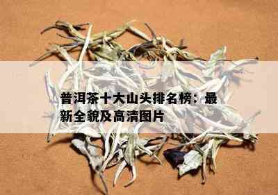 普洱茶十大山头排名榜：最新全貌及高清图片