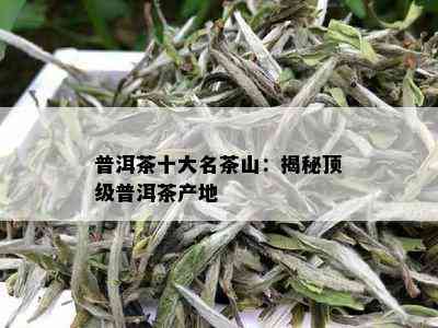 普洱茶十大名茶山：揭秘顶级普洱茶产地