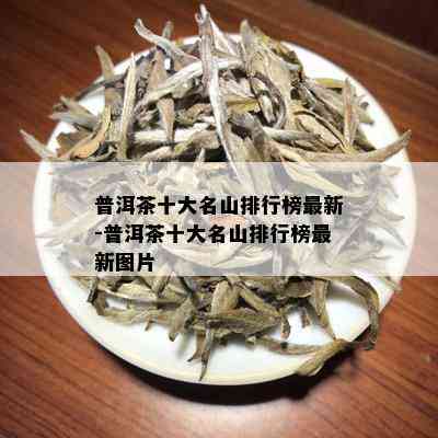 普洱茶十大名山排行榜最新-普洱茶十大名山排行榜最新图片