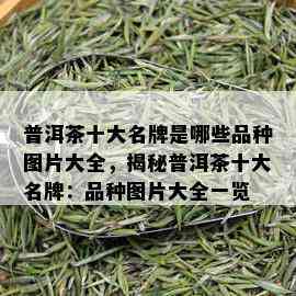 普洱茶十大名牌是哪些品种图片大全，揭秘普洱茶十大名牌：品种图片大全一览