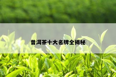 普洱茶十大名牌全揭秘