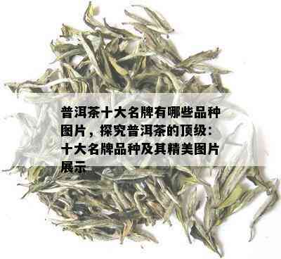 普洱茶十大名牌有哪些品种图片，探究普洱茶的顶级：十大名牌品种及其精美图片展示