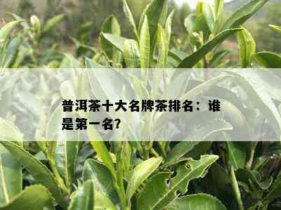 普洱茶十大名牌茶排名：谁是之一名？