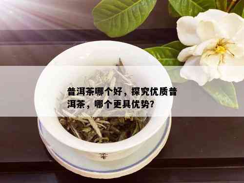 普洱茶哪个好，探究优质普洱茶，哪个更具优势？