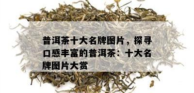 普洱茶十大名牌图片，探寻口感丰富的普洱茶：十大名牌图片大赏