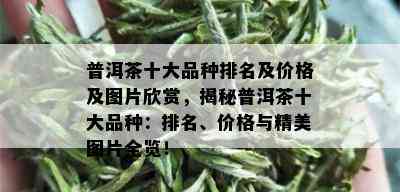 普洱茶十大品种排名及价格及图片欣赏，揭秘普洱茶十大品种：排名、价格与精美图片全览！