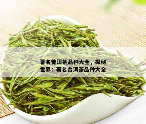 著名普洱茶品种大全，探秘世界：著名普洱茶品种大全