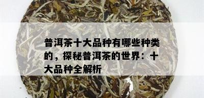 普洱茶十大品种有哪些种类的，探秘普洱茶的世界：十大品种全解析