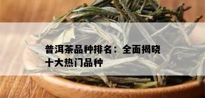 普洱茶品种排名：全面揭晓十大热门品种