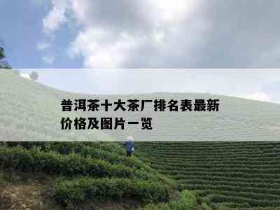 普洱茶十大茶厂排名表最新价格及图片一览