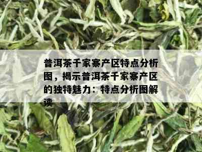 普洱茶千家寨产区特点分析图，揭示普洱茶千家寨产区的独特魅力：特点分析图解读