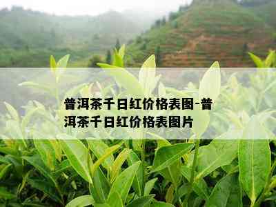 普洱茶千日红价格表图-普洱茶千日红价格表图片