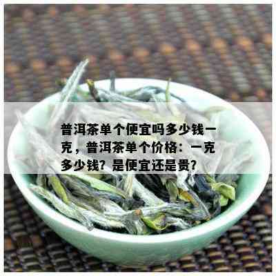 普洱茶单个便宜吗多少钱一克，普洱茶单个价格：一克多少钱？是便宜还是贵？